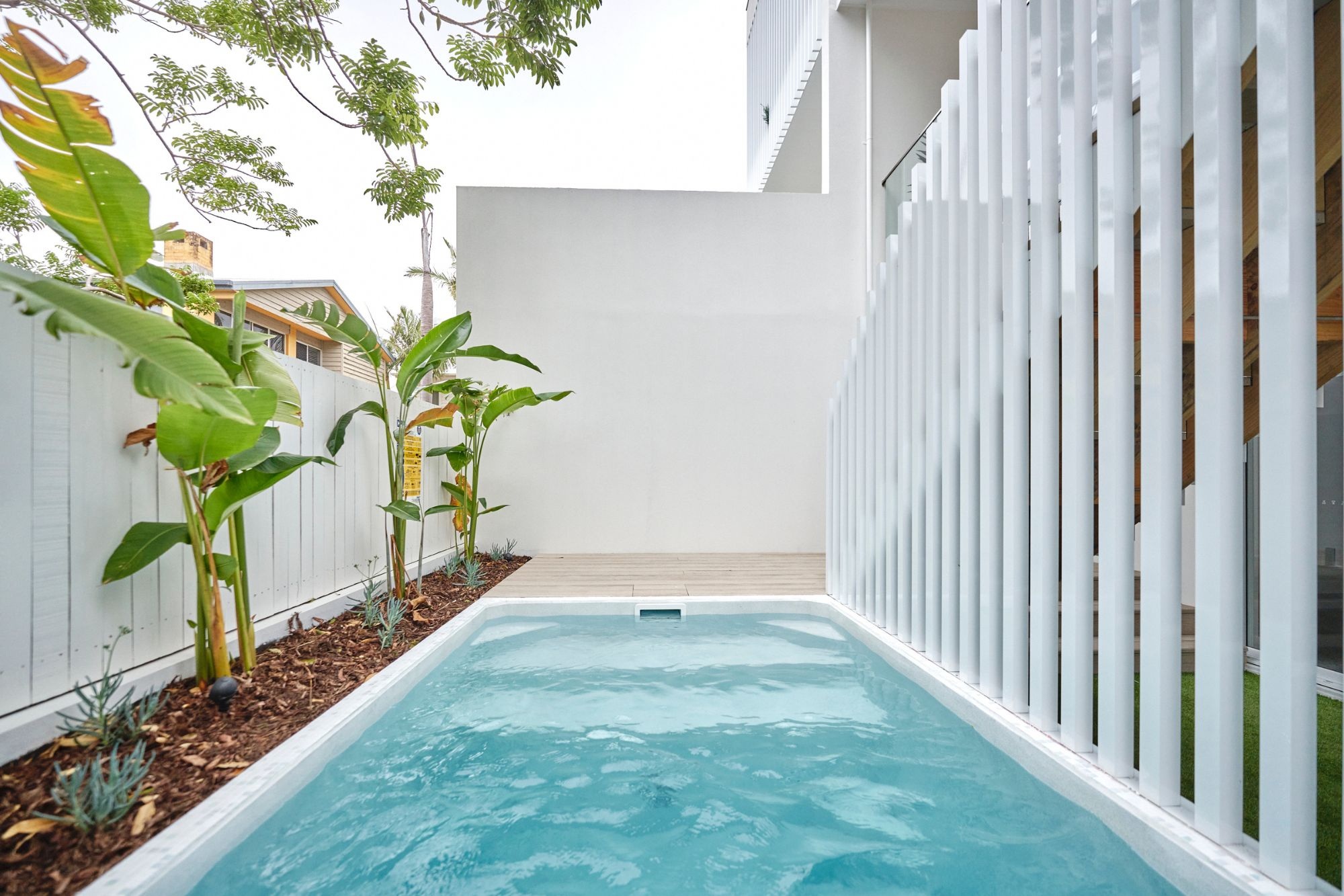 A Plungie Studio plunge pool in a compact backyard - maximising this elegant outdoor space to the fullest.
