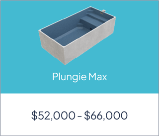 Plungie Max-1