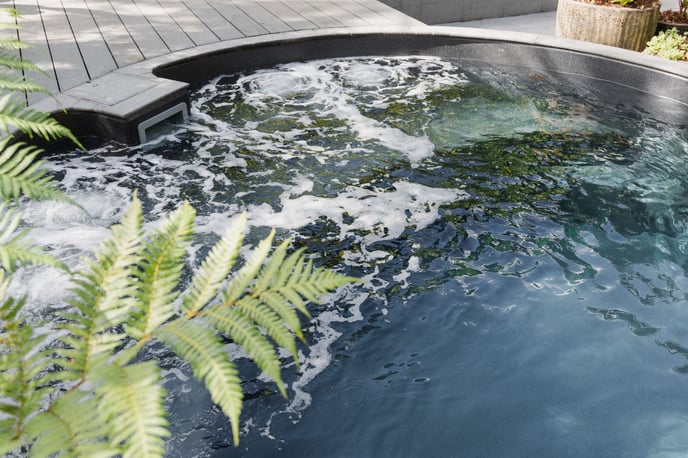 magnesium area - blog image